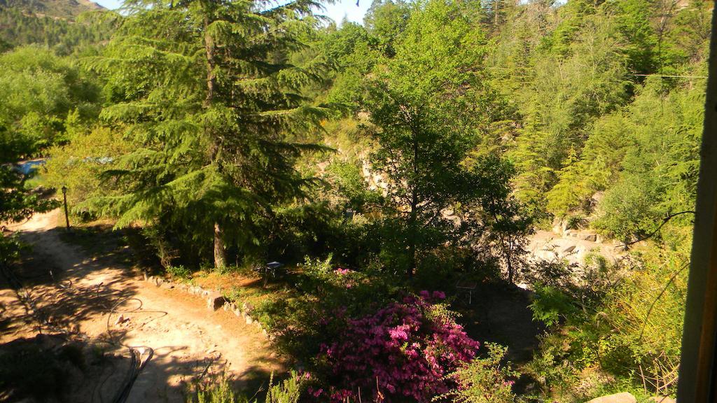 Hotel Cascadas 3*